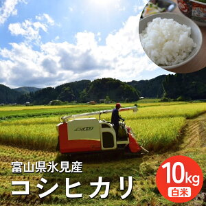 yӂ邳Ɣ[Łzs\ ߘa7NY xRXY RVqJ  E ނ Iׂ 5kg or 10kg    2025N10{ȍ~ | xR Xs  Ђ