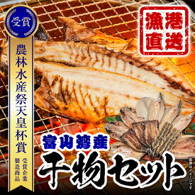 【ふるさと納税】【能登半島地震復興支援】高評価★4.79 氷見直送 本物のこだわり！半七の干物 詰め合わせセット 〈天皇杯受賞 とろ旨氷見いわし入り〉｜ 添加物不使用 冷凍 カマス 旬の干物