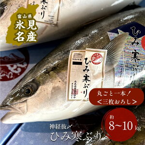 yӂ邳Ɣ[Łz ys\z Ђ݊Ԃ蒩ǂ1{O낵i_oY8`10kgj bxRp X X` \o u 1{ VR VR N u Yn Ԍ