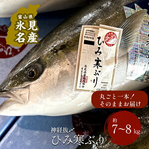 yӂ邳Ɣ[Łzys\z Ђ݊Ԃ蒩ǂ1{ {ۂƁi_oY7`8kgj bxRp X X` \o u 1{ VR VR N u Yn Ԍ