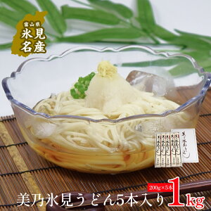 【ふるさと納税】美乃氷見うどん5本入り(200g×5本) | 手延べ 細麺