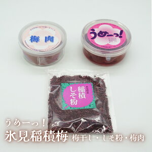 【ふるさと納税】うめーっ!氷見稲積梅 〈梅干し・しそ粉・梅肉〉セット