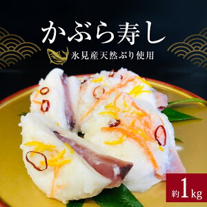 yӂ邳Ɣ[Łz ys\z Ԃ1kg 500g Iׂ 2025N11{ȍ~ XYVRԂgp zn xR Xs \o  HHi u Ԃ  Е 