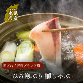 【ふるさと納税】 【先行予約】 ひみ寒ぶり しゃぶしゃぶ用 ※配送地域限定 期間限定 富山県 氷見市 能登 魚介類 寒ぶり ぶり ブリ 鰤 加工食品