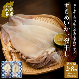 【ふるさと納税】するめいか一夜干し 2-8枚 富山県 氷見市 イカ 干物