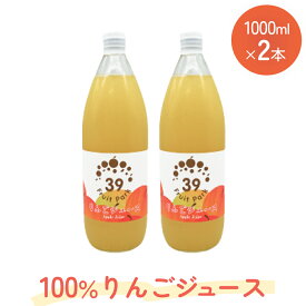 【ふるさと納税】100％りんごジュース 1000ml×2本 | 果樹園 富山 氷見 ジュース ストレートジュース 果物 フルーツ ふじ 林檎 リンゴ りんご 飲料 果実飲料 ドリンク 1L 国産 ギフト 瓶