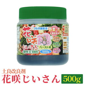 yӂ邳Ɣ[ŁzyǉǍ܁ ԍ炶 500g