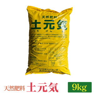 yӂ邳Ɣ[ŁzVR엿 yC 9kg