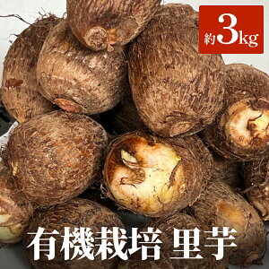 yӂ邳Ɣ[ŁzL@͔|  3kg xR Xs TgC 