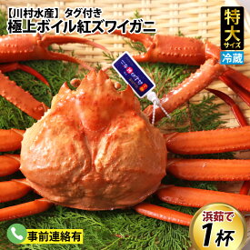 【ふるさと納税】【順次配送中】タグ付き極上ボイル紅ズワイガニ 【25年度9月下旬以降順次配送】 / 訳あり 紅ずわいがに カニ 冷蔵 冷蔵配送 チルド ブランド蟹 北陸 【(株)川村水産】お祝い お歳暮 お年賀 プレゼント ゆで蟹 焼きがに ギフト 送料無料 富山県 国産