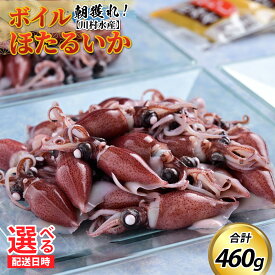 【ふるさと納税】【先行予約】ボイルほたるいか 【川村水産】【ほたるいか漁解禁】※26年3月中旬以降～ 順次発送 鶴瓶の家族に乾杯で放送5.13【能登半島地震復興支援】 / 冷蔵 茹で ボイル ホタルイカ 朝どれ 朝獲れ おつまみ 珍味 海鮮 旬 期間限定 ギフト 送料無料 国産