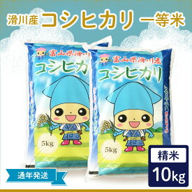 【ふるさと納税】【先行予約】【新米】滑川産コシヒカリ（精米10kg）25年10月以降順次配送予定 / 一等米 産地直送 袋 かわいい こしひかり おにぎり お米 白米 国産 ご飯 ごはん 富山県 滑川市