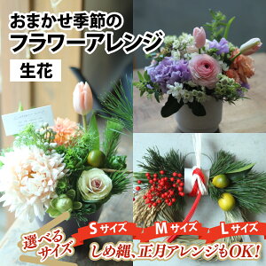 yӂ邳Ɣ[Łz Mtg ܂G߂̃t[AWiԁjTCYƂ͂񐔂Iׂy12/21܂łAW\ N Nzz / v[g Ε  