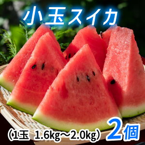 yӂ邳Ɣ[Łzys\z܂ŐHׂXCJ@ʃXCJismK[jy2026N7{ȍ~z / ʌ LTCY 2ʓ ăMtg   Z t[c ʕ 