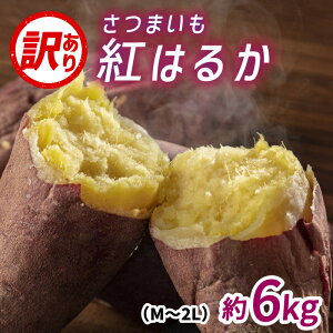 yӂ邳Ɣ[Łzys\zTc}Cig͂邩jTCYs̖󂠂iM`2Lj6kg10{珇\ / ܂   T_ X` Î   ˂Ƃ { 