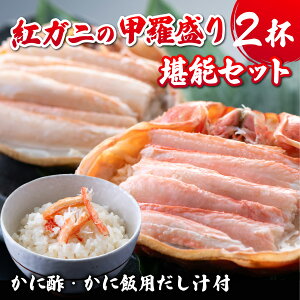 yӂ邳Ɣ[Łzys\zgYCKj b u̍gKj̍b2t Jj|AJjїp̏o`t y25N11{菇z [B-042002] / B gYCKj xjYCKj