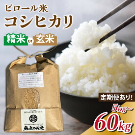 【ふるさと納税】【先行予約】25年10月中旬以降順次発送 米 定期便 コシヒカリ ピロール農法米 選べる 玄米/精米・5kg 3ヶ月 15kg 6ヶ月 30kg 12ヶ月 60kg 富山県滑川産 コシヒカリ 与文のお米 産地直送 こしひかり 白米 ピロール 農家直送 コンシェルジュ プレミアム