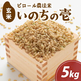 【ふるさと納税】【先行予約】富山県滑川市産　弱アルカリ性米　「ピロール農法米　いのちの壱」玄米5kg【2025年10月中旬より順次発送】 / 産地直送 袋 ブランド米 お米 米 ご飯 ごはん 富山 滑川市 アグリめぐみ 頒布会 農家直送 おこめ