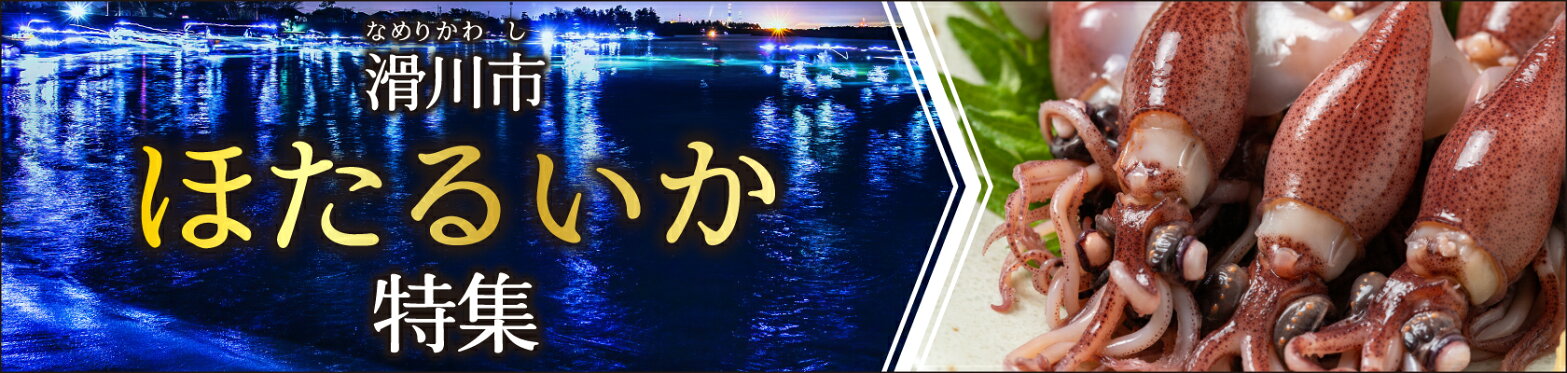 ホタルイカバナー