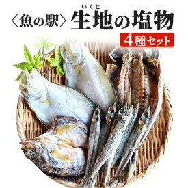 【ふるさと納税】無添加 干物 詰め合わせ 5種類 10尾以上 期間限定 産地直送 冷凍 / 生地温泉たなかや / 富山県 黒部市　【 海鮮 魚 魚介類 魚介 セット ひもの イカ 鯖 サバ 】　お届け：9月下旬～6月上旬において順次出荷