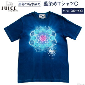 【ふるさと納税】Tシャツ ASCENSION 藍染め タイダイ TシャツC 1枚 ファッション 服 男性 メンズ 女性 レディース 　お届け：※寄附申込がお盆・連休前後の場合や寄附申込が集中した場合は、お届けまでお待たせすることがございます。