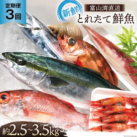 【ふるさと納税】定期便 魚 富山湾直送 とれたて鮮魚セット 約2.5～3.5kg×3回 旬 新鮮 鮮魚 詰め合わせ 産地直送 冷蔵 / くろべ漁業協同組合 魚の駅「生地」/ 富山県 黒部市　【定期便・ 地魚 お楽しみ 魚介 魚介類 】