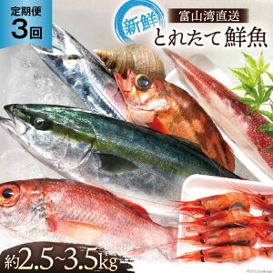 yӂ邳Ɣ[Łz  xRp ƂꂽđNZbg 2.5`3.5kg×3 { VN N lߍ킹 Yn ① / ׋Ƌg ̉wunv/ xR s n y 