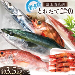 yӂ邳Ɣ[Łz xRp ƂꂽđNZbg 3.5kg { VN N lߍ킹 Yn ①/׋Ƌg ̉wunv/xR s CN  