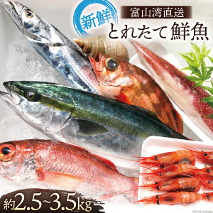 yӂ邳Ɣ[Łz xRp ƂꂽđNZbg 2.5`3.5kg { VN N lߍ킹 Yn ①/׋Ƌg ̉wunv/xR s CN  