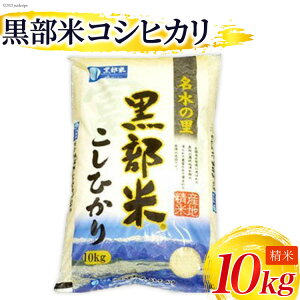 yӂ邳Ɣ[Łzyߘa7NYz  RVqJ 10kg ā@͂F2025N10{珇o