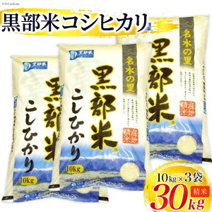 yӂ邳Ɣ[Łzyߘa7NYz  RVqJ 10kg×3 v30kg ā@͂F2025N10{珇o