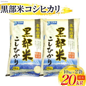 yӂ邳Ɣ[Łzyߘa7NYz RVqJ 10kg×2 v20kg ā@͂F2025N10{珇o