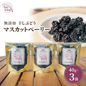【ふるさと納税】無添加 干しぶどう ボッサの干しぶどう 40g×3袋 マスカットベーリーA（種あり）国産 レーズン ドライフルーツ 砂糖不使用/富山県黒部市 果物加工品 フルーツ加工品 甘さ控えめ おつまみ ポリフェノール