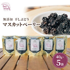 【ふるさと納税】無添加 干しぶどう ボッサの干しぶどう 40g×5袋 マスカットベーリーA（種あり）国産 レーズン ドライフルーツ 砂糖不使用/富山県黒部市 果物加工品 フルーツ加工品 甘さ控えめ おつまみ ポリフェノール