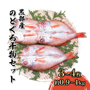 yӂ邳Ɣ[Łzyʌẑ蔲QIŶǂ늱Zbgi3`4j0.9`1.0kg xRs/Yn {    Hi H ͂  [ ӌ g̃g