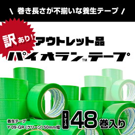 【ふるさと納税】【訳あり】パイオランテープ(養生テープ)グリーン色・48巻入り