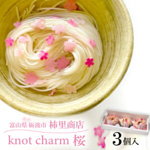 yӂ邳Ɣ[ŁzxRvgs@`X@艄בfˁuknot charm  3vオ肢܂y1612319z
