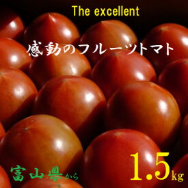 【ふるさと納税】フルーツトマト(深層水トマト)1.5キロ【1287333】