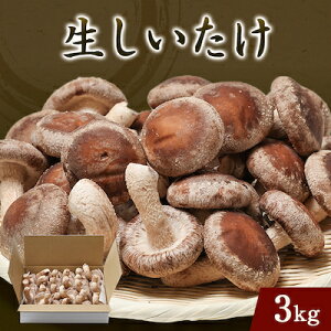 yӂ邳Ɣ[Łz(o)3LyzsnFzy1288311z