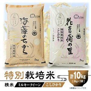 【ふるさと納税】特別栽培米10kg(精米/ミルキークイーン・コシヒカリ 各5kg)【1290532】