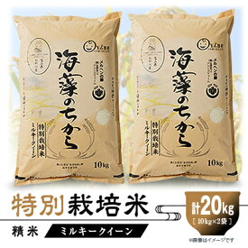 【ふるさと納税】特別栽培米20kg (精米/ミルキークイーン10kg×2)【1290533】