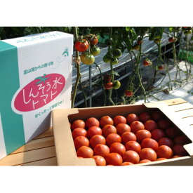 【ふるさと納税】感動のフルーツトマト「深層水トマト」3キロ【1290573】