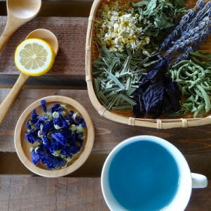 yӂ邳Ɣ[ŁzxRY ͔|_sgp̃n[ueB[Zbg@@uh6܂ Pi2܂ |v1y1291780z