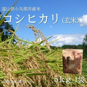 yӂ邳Ɣ[ŁzyVĐs\ 2025N10{`zߘa7NxRYuRVqJv()5kg×1܁y1656054z