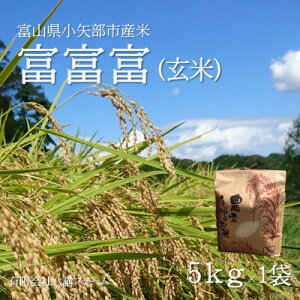 yӂ邳Ɣ[ŁzyVĐs\ (2025N10{珇)zߘa7NxRYuxxxv()5kg×1܁y1656106z