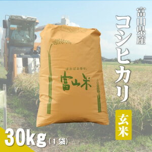 yӂ邳Ɣ[Łzߘa7NYuRVqJv30kg×1܁y1666609z