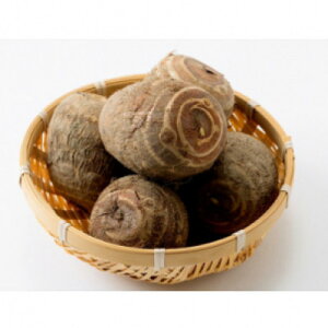 yӂ邳Ɣ[Łzuꕶ̗v5kgy1682097z