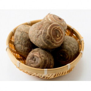 yӂ邳Ɣ[Łzuꕶ̗v10kgy1682108z