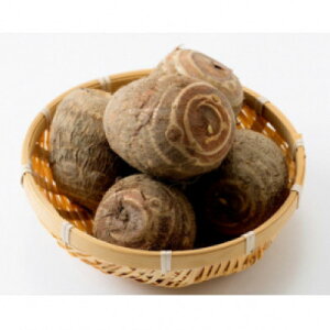 yӂ邳Ɣ[ŁzyTCYzuꕶ̗v2.8kgy1682110z