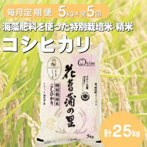 【ふるさと納税】【毎月定期便】特別栽培米コシヒカリ(花菖蒲の里)(精米)5kg全5回【4075013】